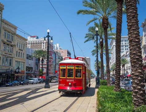 Do You Need a Car in New Orleans? Exploring the City's Unique Transportation Landscape