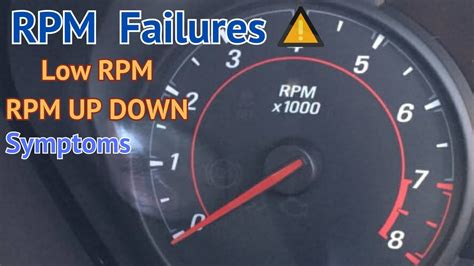 How Many RPM Should a Car Idle At? And Why Does My Cat Stare at the Engine?