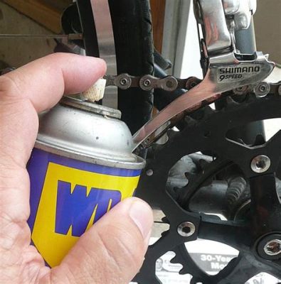 How to Clean a Dirt Bike Chain: And Why It’s Like Teaching a Fish to Ride a Bicycle