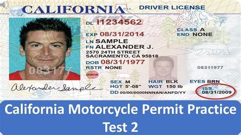 How to Get a Motorcycle License in FL: A Journey Through the Wind and Rules