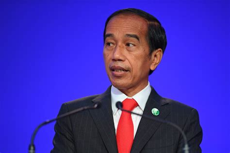 Jokowi's 2014 Presidential Victory: A Seismic Shift in Indonesian Politics and a Dawn for Economic Hope