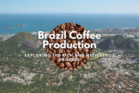 Revolten av 1893: En Historia Om Krig Och Kaffeproduktion I Brasilien